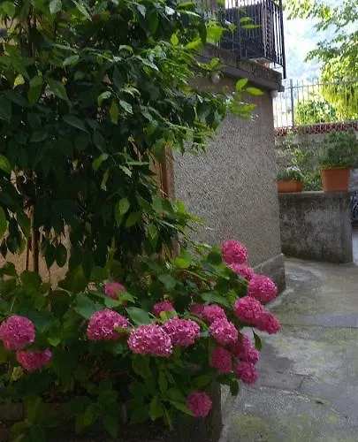 La Casetta Di Vassena Дом отдыха Oliveto Lario