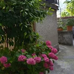 La Casetta Di Vassena Дом отдыха Oliveto Lario